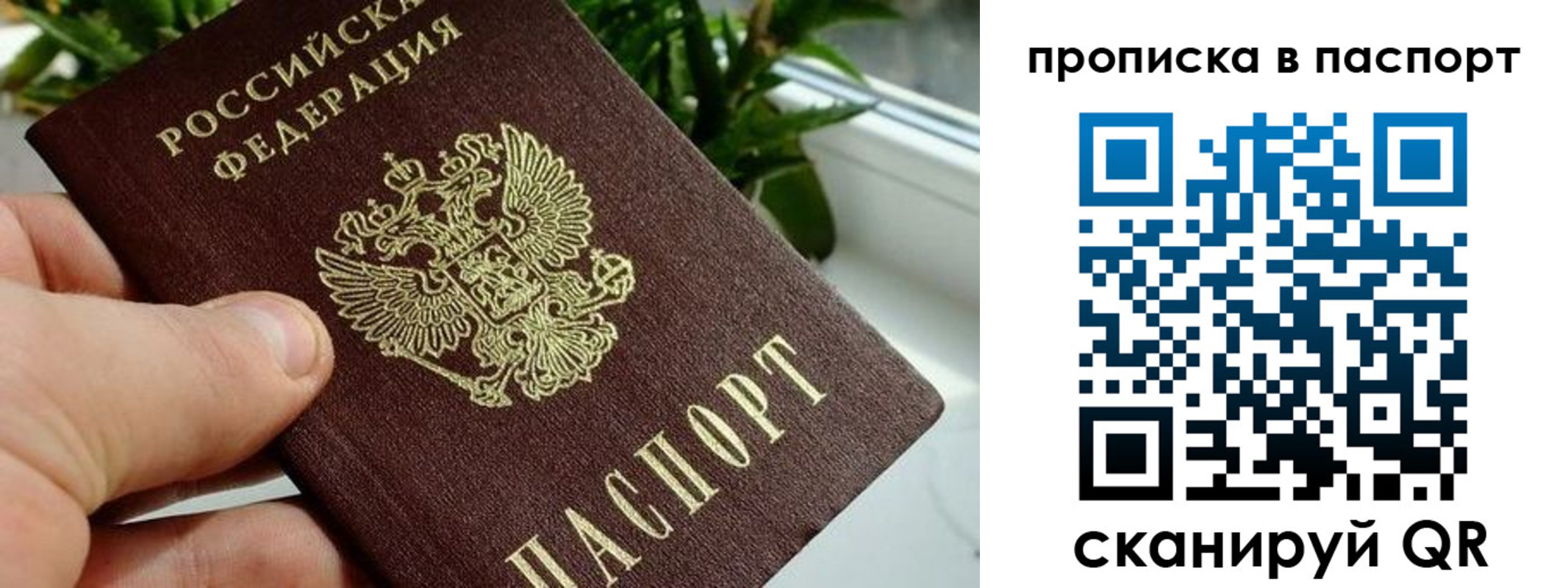 временная регистрация купить в Коломне